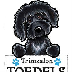 Trimsalon Toedels, Egmond-Binnen openingstijden