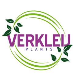 Verkleij Plants, Reeuwijk openingstijden