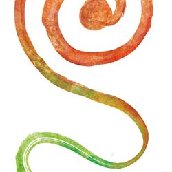 Shiatsu Breda, openingstijden