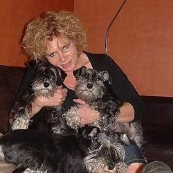 Dwergschnauzerkennel zwart/zilver Leoniekes en Charovayka, Venlo openingstijden