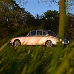 Rob de Bruin Classics - appointment only - Alleen op afspraak, Uden openingstijden