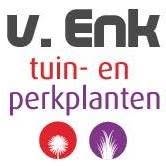 van Enk Tuin-, en Perkplanten, IJsselmuiden openingstijden