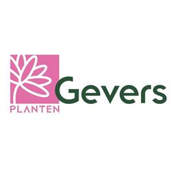Gevers Planten, Heusden openingstijden