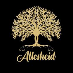 Zonnestudio Allesheid, Steenwijk openingstijden