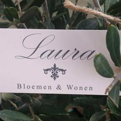 Laura Bloemen & Wonen, Maasbree openingstijden
