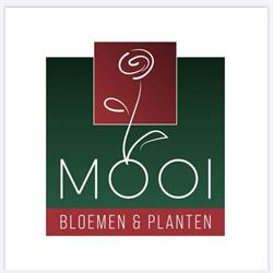 Mooi bloemen en planten Gorinchem, openingstijden