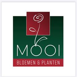 Mooi bloemen en planten Gorinchem, openingstijden