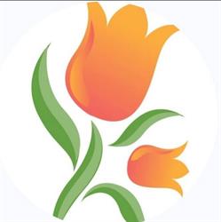 Koki bloemen en planten, Haarlem openingstijden
