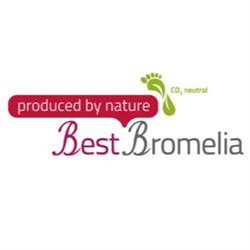 Best Bromelia, Pijnacker openingstijden