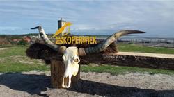Vachten van Terschelling, Midsland openingstijden