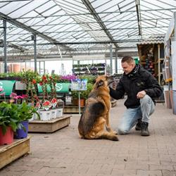 Gardenmaster Kroeze Beesd, openingstijden