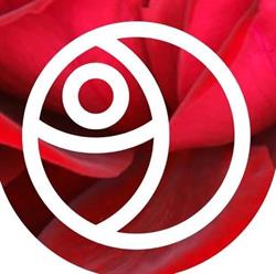 Gebr. Seuren Kwekerijen B.V., Lottum openingstijden