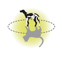 Dierenartsenpraktijk Groesbeek en omstreken, openingstijden