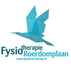 Fysiotherapie Roerdomplaan, Rotterdam openingstijden