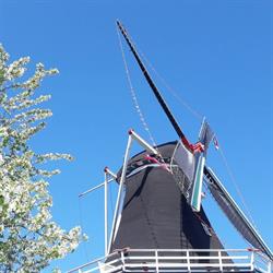 Korenmolen De Hoop, Almelo openingstijden
