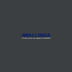 Wallinga Automobielen, Haarlem openingstijden