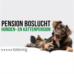 Pension Boslucht, Eersel openingstijden