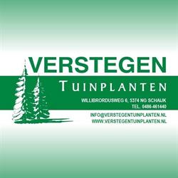 Verstegen Tuinplanten, Schaijk openingstijden