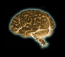 BrainSense. Gebruik je brein, leer slimmer, Zwolle openingstijden