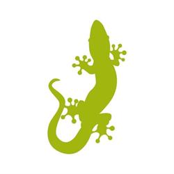 Assistive Innovations B.V., Didam openingstijden