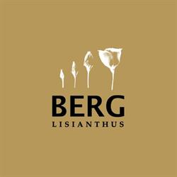 BERG Lisianthus, Naaldwijk openingstijden