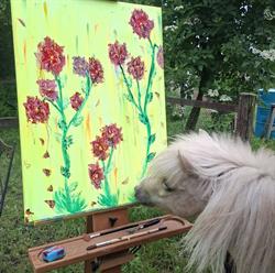 Esmeralda van Liefland Yoga & Creatief Coaching, Hoogersmilde openingstijden