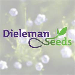 Dieleman Seeds, Axel openingstijden