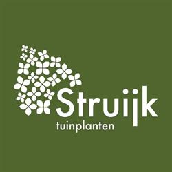 Struijk tuinplanten, Pijnacker openingstijden