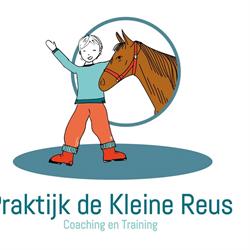 Praktijk de Kleine Reus, Jeugd en Gezin, Baflo openingstijden