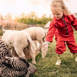 Kinderdagverblijf Kakelbont, Dinteloord openingstijden