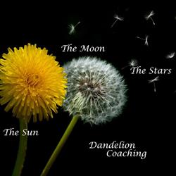 Dandelion coaching (HBspot Hoogkarspel), openingstijden