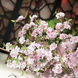 Homeflowerstyle, Eindhoven openingstijden