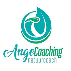 Ange Coaching, Haarlem openingstijden