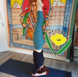 Yogajaia, Zwartsluis openingstijden