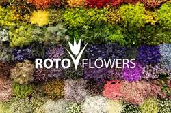 Rotoflowers BV, Aalsmeer openingstijden