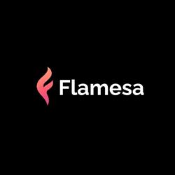 Flamesa - Pelletkachels, Deventer openingstijden