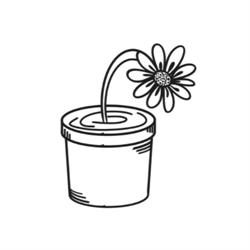 Café de Muurbloem, Amsterdam openingstijden