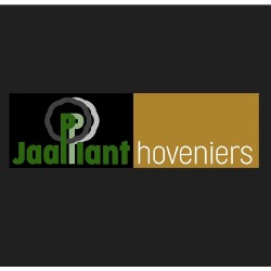Jaapplant, Dongen openingstijden