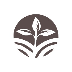 Mindpiece, Benthuizen openingstijden