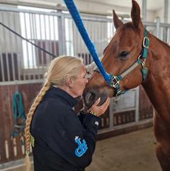 AM Rising Star Ranch, Eersel openingstijden