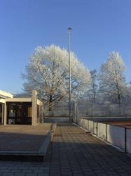 T.C. van Horne, Weert openingstijden