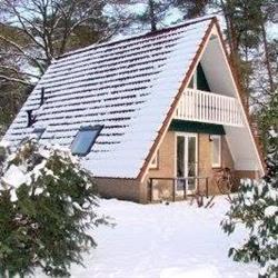 Bungalow Motief, Harfsen openingstijden