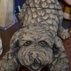 De Brocanteschuur, Waddinxveen openingstijden
