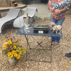 Wellness Chalet B&B "Het Biggetje", Volkel openingstijden