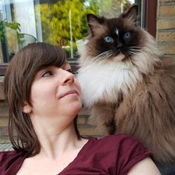 Daphne's Cat Service - katten trimmen, Reijmerstok openingstijden
