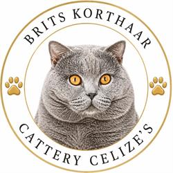 Cattery Celize's, 's-Gravenhage openingstijden
