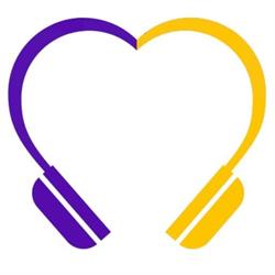 Silent Disco Express, Wormerveer openingstijden