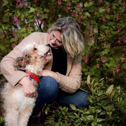 Hester's Bernedoodles, IJhorst openingstijden