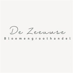 De Zeeuwse Bloemengroothandel, Middelburg openingstijden