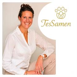 TesSamen I Human Design Coach & Leefstijl Coach, Wierden openingstijden